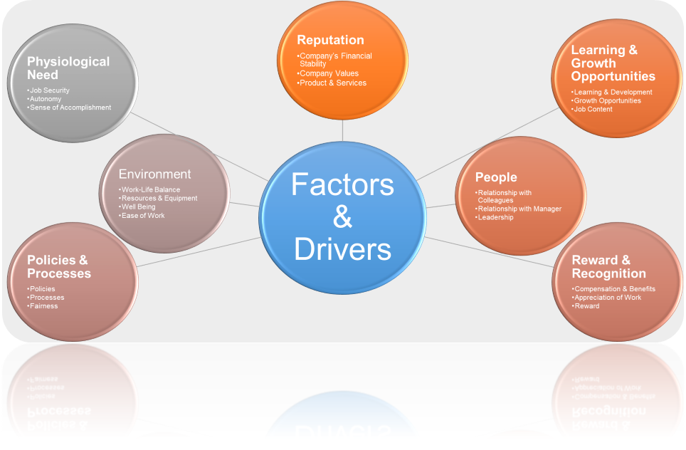 Employee Experience Assessment Model