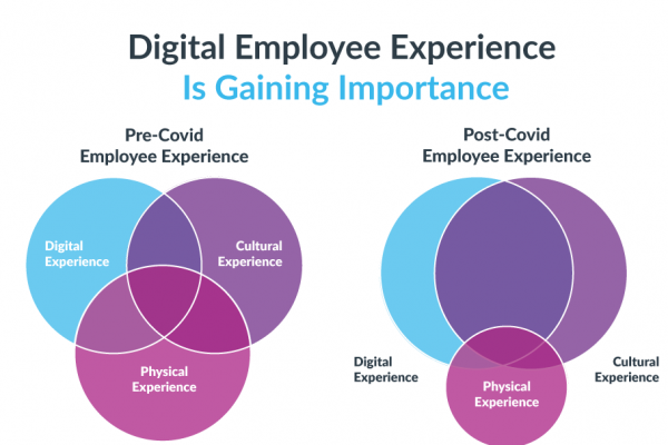 Digital-Employee-Experience-Gaining-Importance